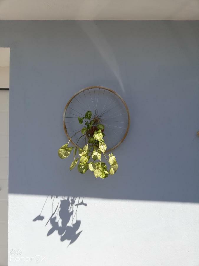 Apartmán Casa Del Cicloturista Santadi Exteriér fotografie